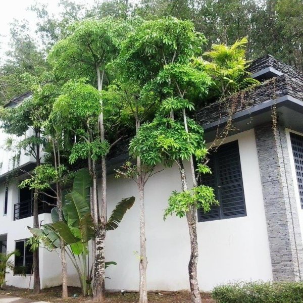 Property image - gallery 8