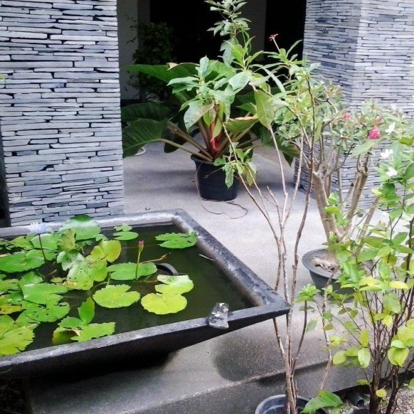 Property image - gallery 12